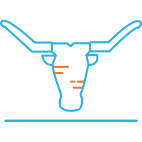 Texas logo